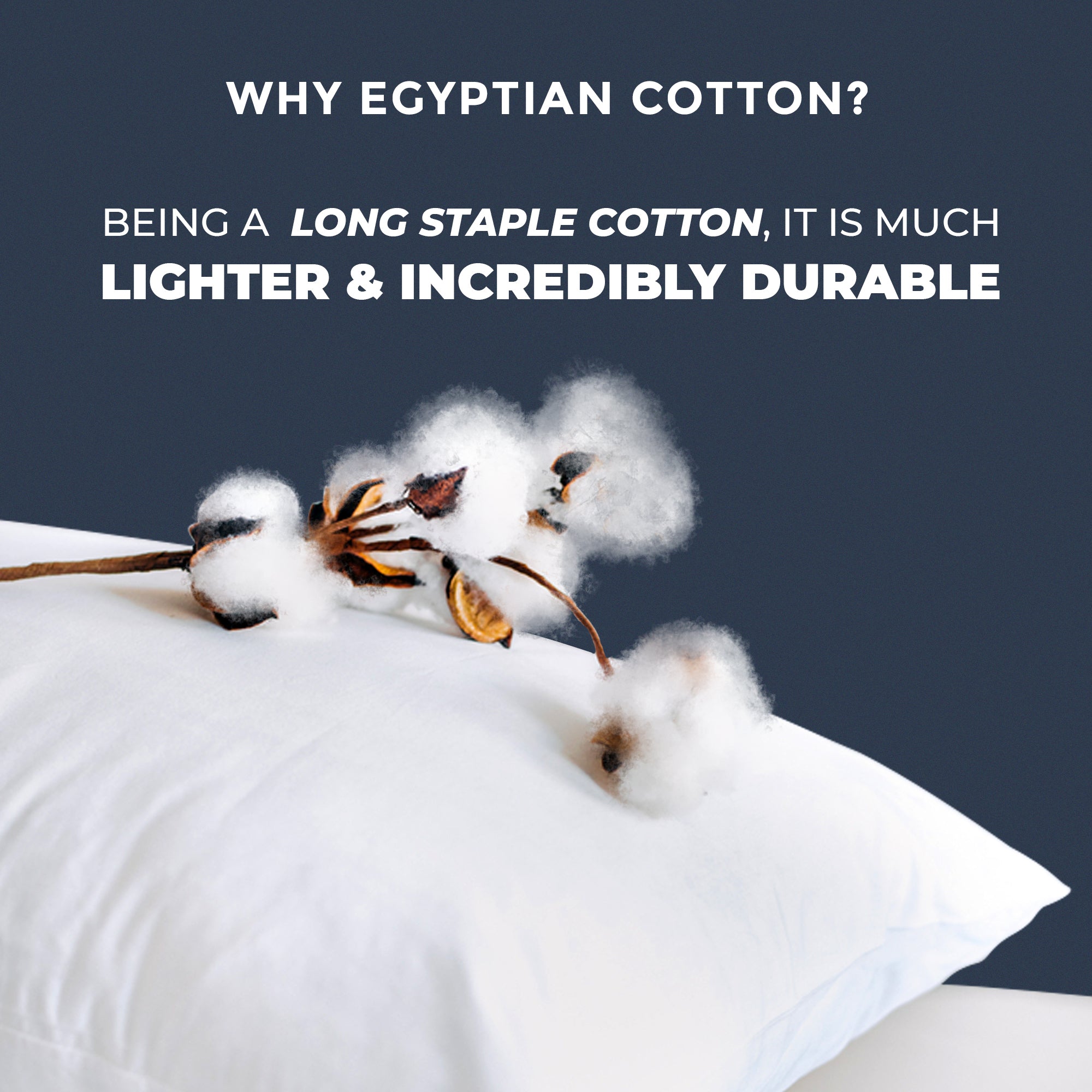 Ivory Egyptian Cotton Percale Sheets